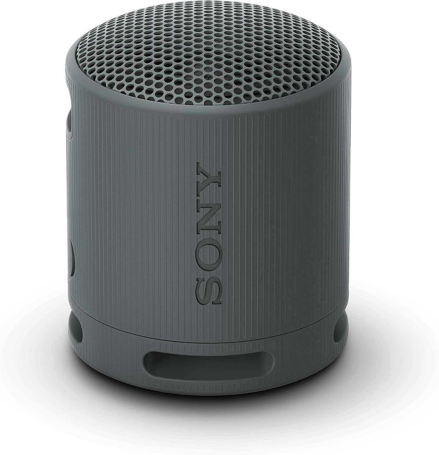 Sony Altifalante Bluetooth SRS-XB100